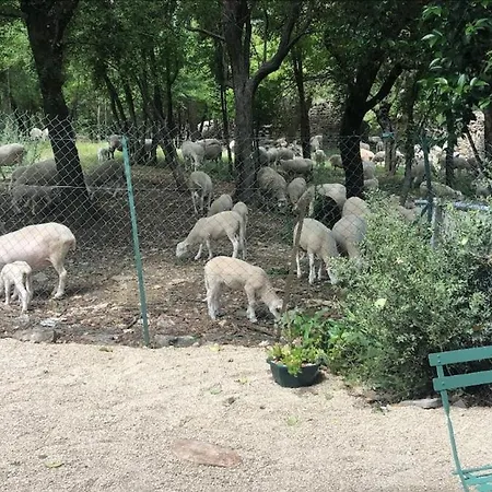Apartmán La Cachette Des Garrigues Pompignan (Gard)