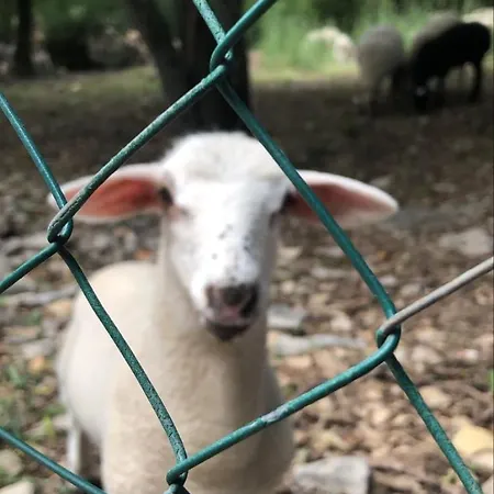 La Cachette Des Garrigues *